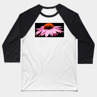 Echinacea Purpurea on White Background Baseball T-Shirt